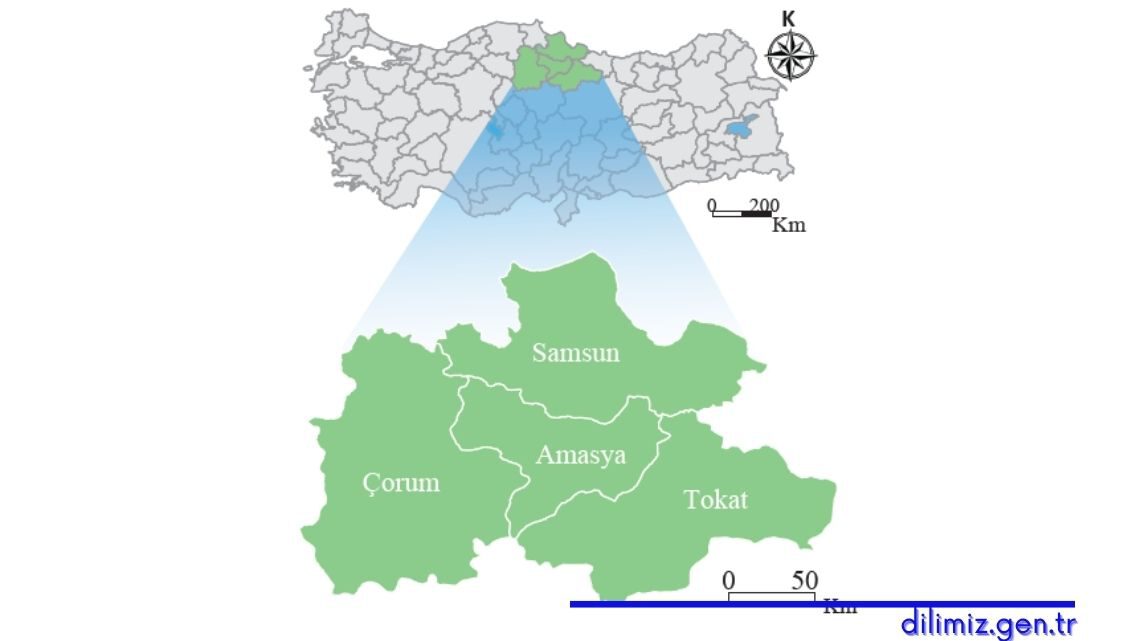 Yeşilırmak Havzası Gelişim Projesi (YHGP)