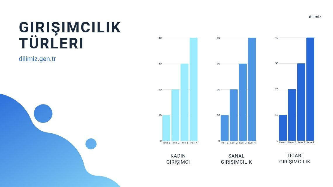 Girişimcilik Türleri