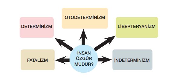 İnsan özgür müdür