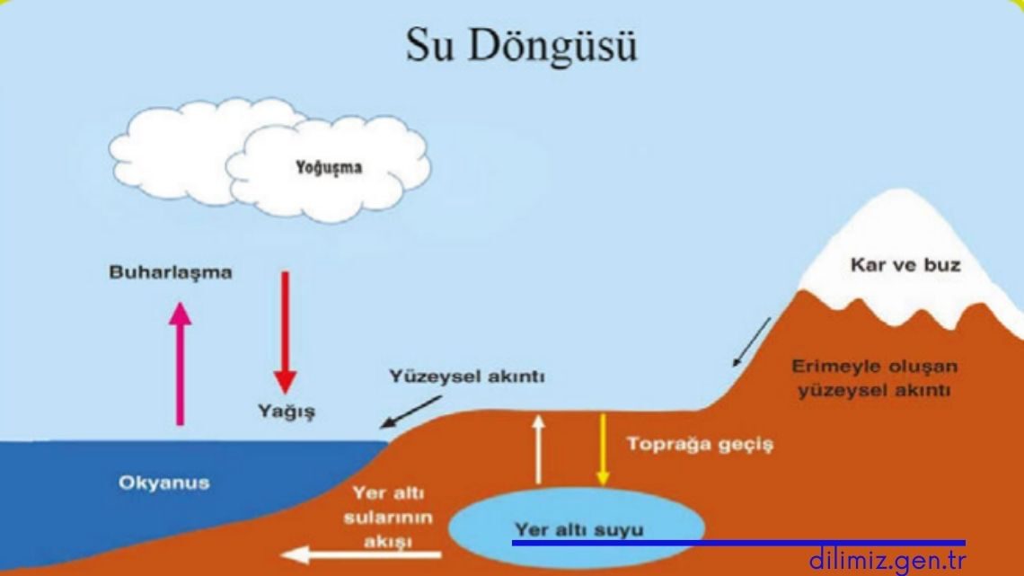 su döngüsü