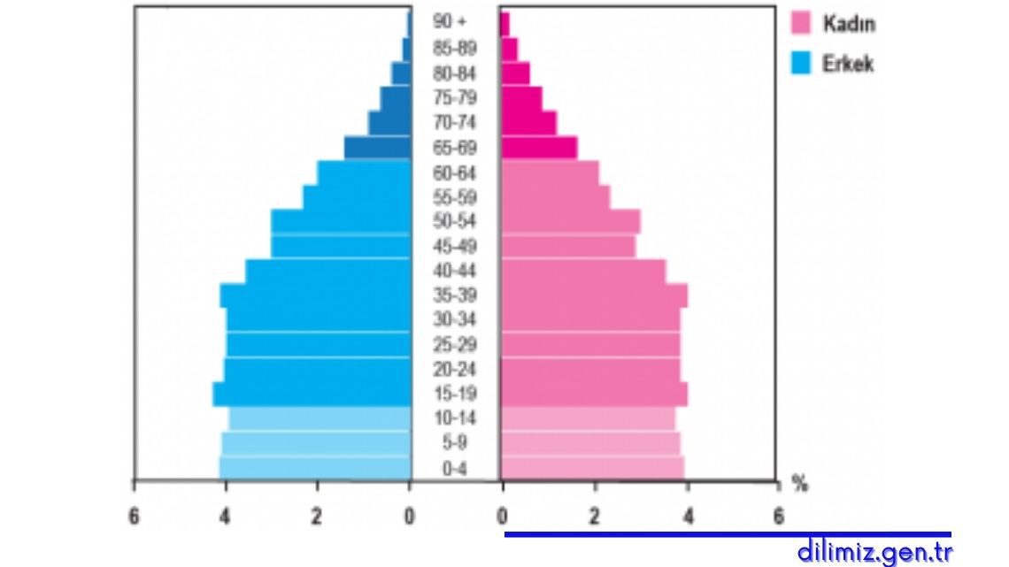 2016 yılına ait Türkiye nüfusunun yaş piramidi