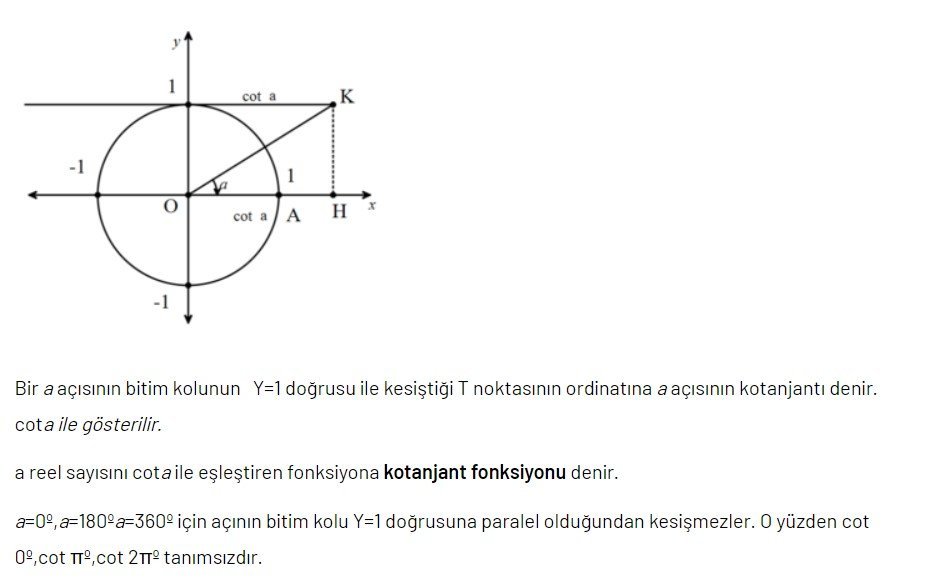 Trigonometri Nedir ?