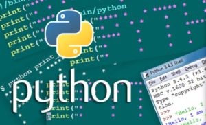 Python Programa Dili