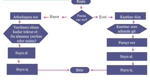 Algoritma Nedir