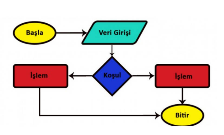 Algoritma Nedir