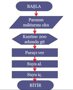 Algoritma Nedir