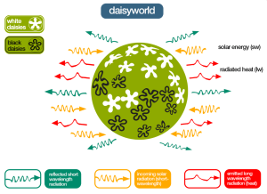 Daisyworld Modeli