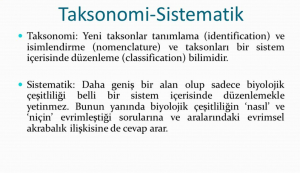 Taksonomi Nedir