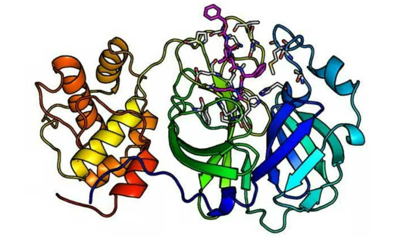 Üçüncül Protein Yapısı Nedir